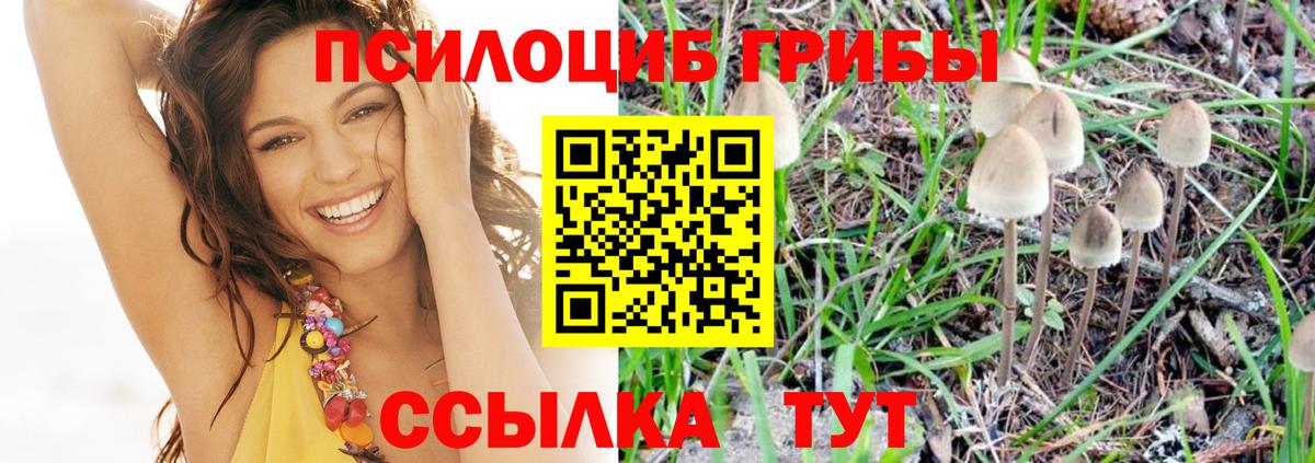 Урай  Псилоцибиновые грибы ЛСД  цены наркотик  Вход с VPN 