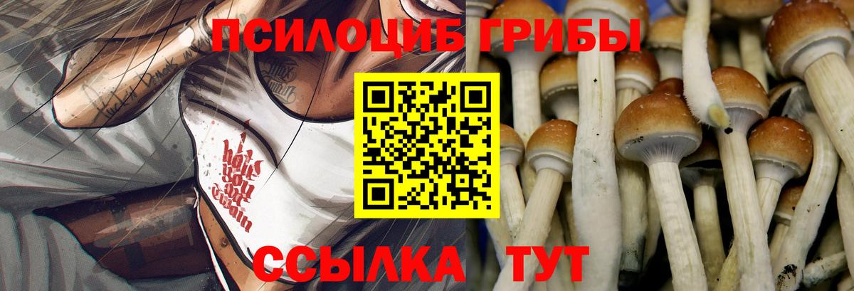 Галлюциногенные грибы Psilocybine cubensis Урай